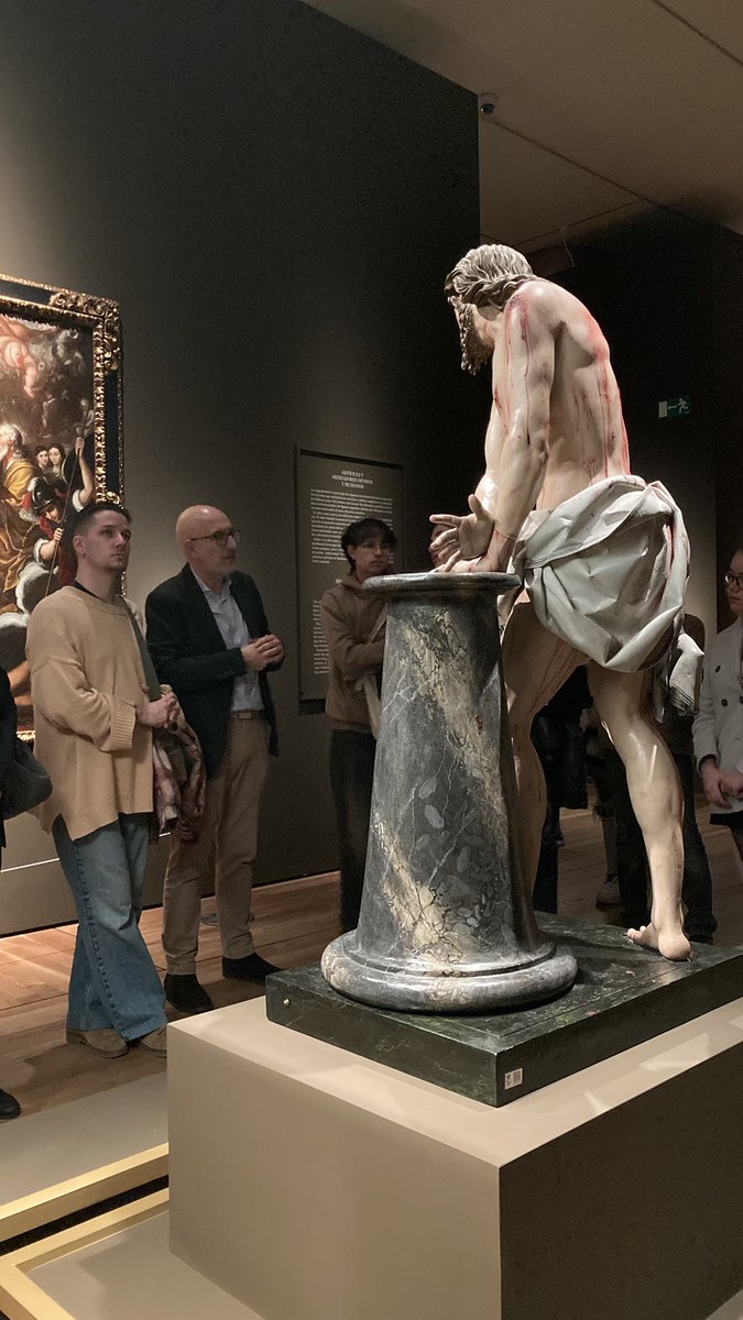 traditioorbis tweet media