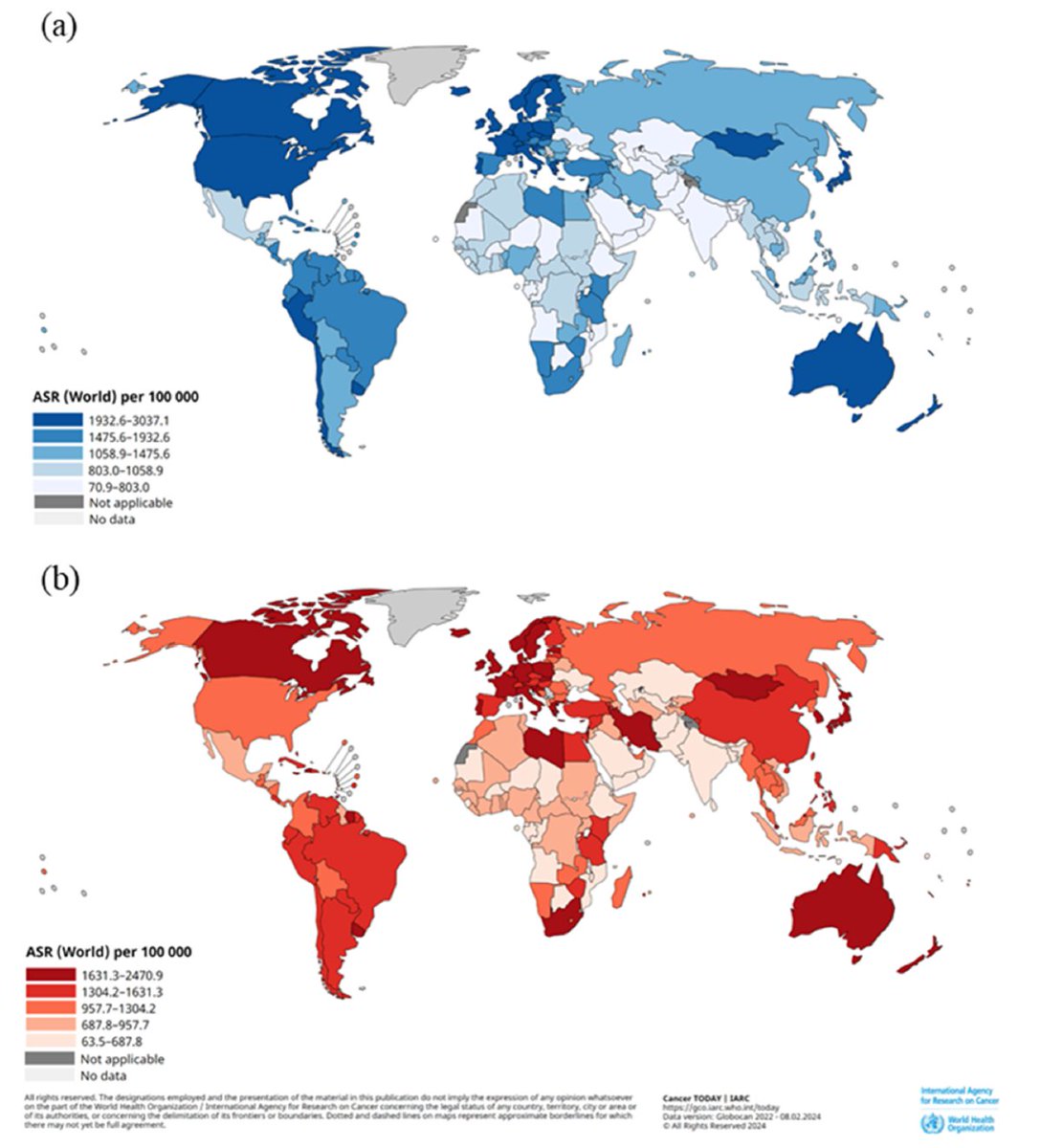 In 2022, an estimated 2.6 million new cancer cases and 2.1 million cancer deaths occurred in adults aged 80 years or over.
There's a great variation in age-standardised incidence and mortality rates across world regions and income level.
authors.elsevier.com/c/1k9y~6gzKuTt…