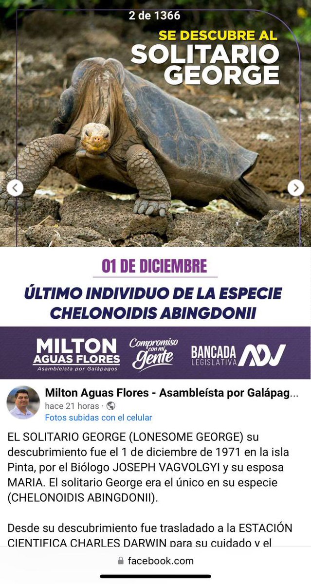 BitacoraEc's tweet photo. Felitamos al Sr Asambleista @miltonaguas que ahora promociona la fauna de las islas Galápagos.
Saludamos que rectifique. En octubre pasado, publicó una foto de una tortuga africana como galapagueña. https://t.co/JDLRhhYRIS