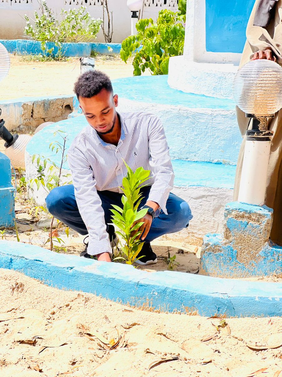 Today, <a href="/AbdinasirMOHMUD/">Abdinasir Mohamud</a> Head of Programs &amp; Awareness at <a href="/SomEnviroForum/">Somali Environmental Forum</a>, along with the team, planted nearly 30 trees at Kaxda District Center. This initiative is part of our ongoing efforts to raise awareness on environmental issues and climate change.