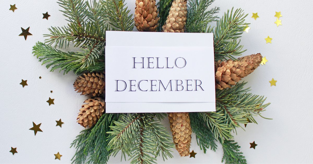 Happy December! Whether you’re still enjoying the Cyber Monday deals or simply recharging after the holiday, we hope you have a great week!