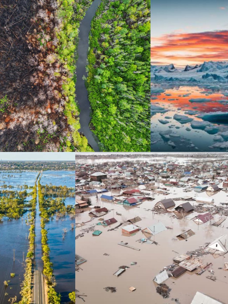 aleesha886's tweet photo. Effects of climate change 👇🏼... https://t.co/cSJbbF52id