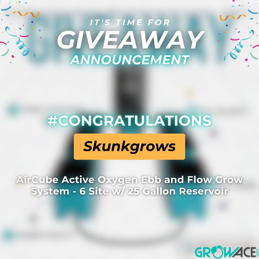 Grow Ace tweet media