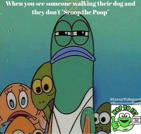 LennyTLifeguard's tweet photo. Meme Monday
Pet Waste is a major contributor to stormwater pollution as it contains harmful bacteria, parasites and is high in nitrogen and phosphorus that negatively affect our waters. Make a difference by being a responsible pet owner and Scoop The Poop!
#StormwaterSharp https://t.co/lIPGdYlCLs