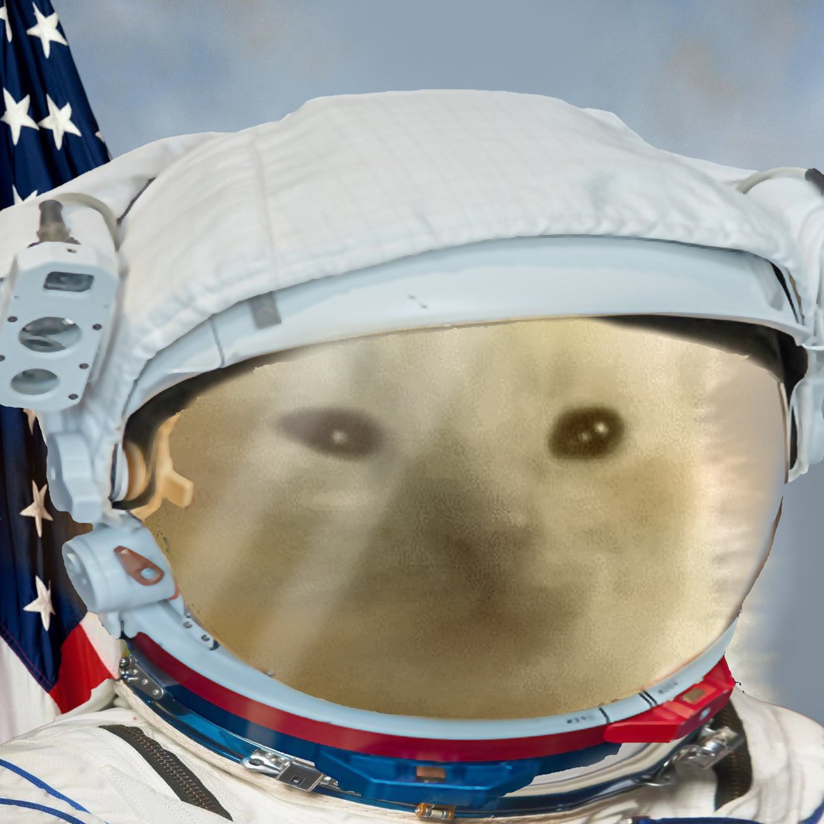 glorp tweet media