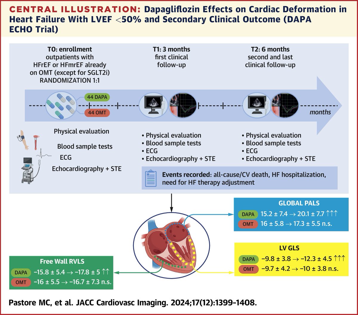 JACC Journals (@jaccjournals) on Twitter photo Strain #echofirst data: #Dapagliflozin results in early improvement/remodeling in non-diabetic #HeartFailure with reduced and mildly reduced #LVEF compared to prior OMT. bit.ly/3BcP2CX
#JACCIMG #HFrEF #HFmrEF <a href="/MC_Pastore/">Maria Concetta Pastore</a> Strain #echofirst data: #Dapagliflozin results in early improvement/remodeling in non-diabetic #HeartFailure with reduced and mildly reduced #LVEF compared to prior OMT. bit.ly/3BcP2CX
#JACCIMG #HFrEF #HFmrEF <a href="/MC_Pastore/">Maria Concetta Pastore</a>