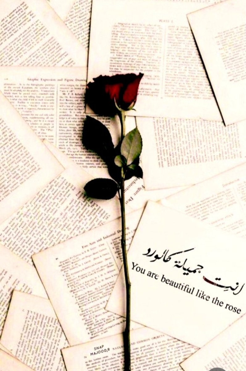 roo7alsaraya's tweet photo. @fathy11414 ومسائك الورد ابعطره و كل الوانه
العطره انت روحا وريحان الجميلة 🌸
🌸#fathy https://t.co/7gC5PeXCk7