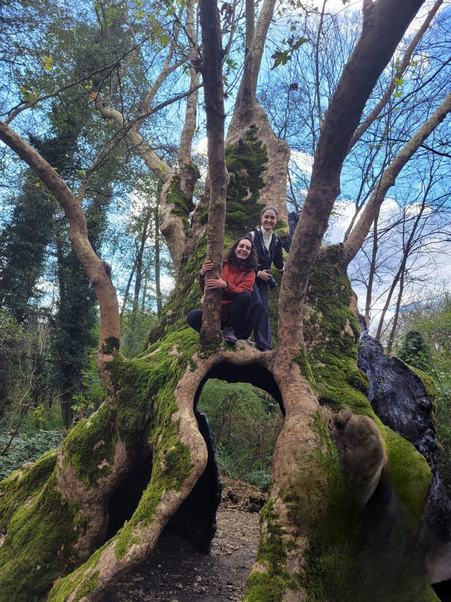 Belgrad Ormanı seni çağırıyor🦊

Binlerce yıldır İstanbul’a yaşam kaynağı olmuş bu kadim ormanı tarihi bir yıkım dalgasına karşı korumaya çalışıyoruz.

Şimdi de “muhafaza ormanı” olan koruma statüsünü düşürüp ormanın kalbine göz diktiler.

Belgrad Ormanı’nı savunacağız. Sen de