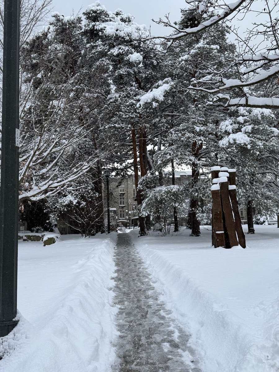 Julio Martinez (@juliomtneuro) on Twitter photo Winter <a href="/WesternU/">Western University</a> campus. Winter <a href="/WesternU/">Western University</a> campus.