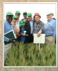 Dr Osman Abdella, a great wheat breeder who developed many wheat varieties which has been released and cultivated in the developing world, passed away.  Inspired by Drs Bourloug and Rajaram, he has contributed to humanity enormously. RIP! <a href="/ICARDA/">ICARDA</a> <a href="/CIMMYT/">CIMMYT</a>