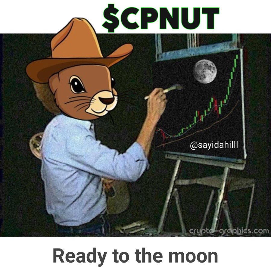 savedusd's tweet photo. #CPNUT Ready to take off to the moon You will not be in the trenches anymore.  Just believe in #chillpnut #Memecoin https://t.co/zU5mQXpy7F