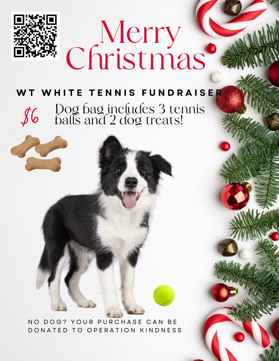 TennisWTW's tweet image. Our fundraiser has started!! Get your pup their Christmas treat now! @WTWLonghorns @ClubWtw @WTWHighSchool