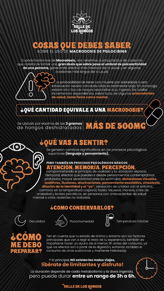 Guía de consumo para macrodosis de Psilocibina 🍄