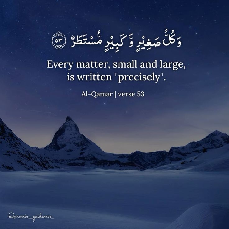 reposts, it will help you🤍🕊️