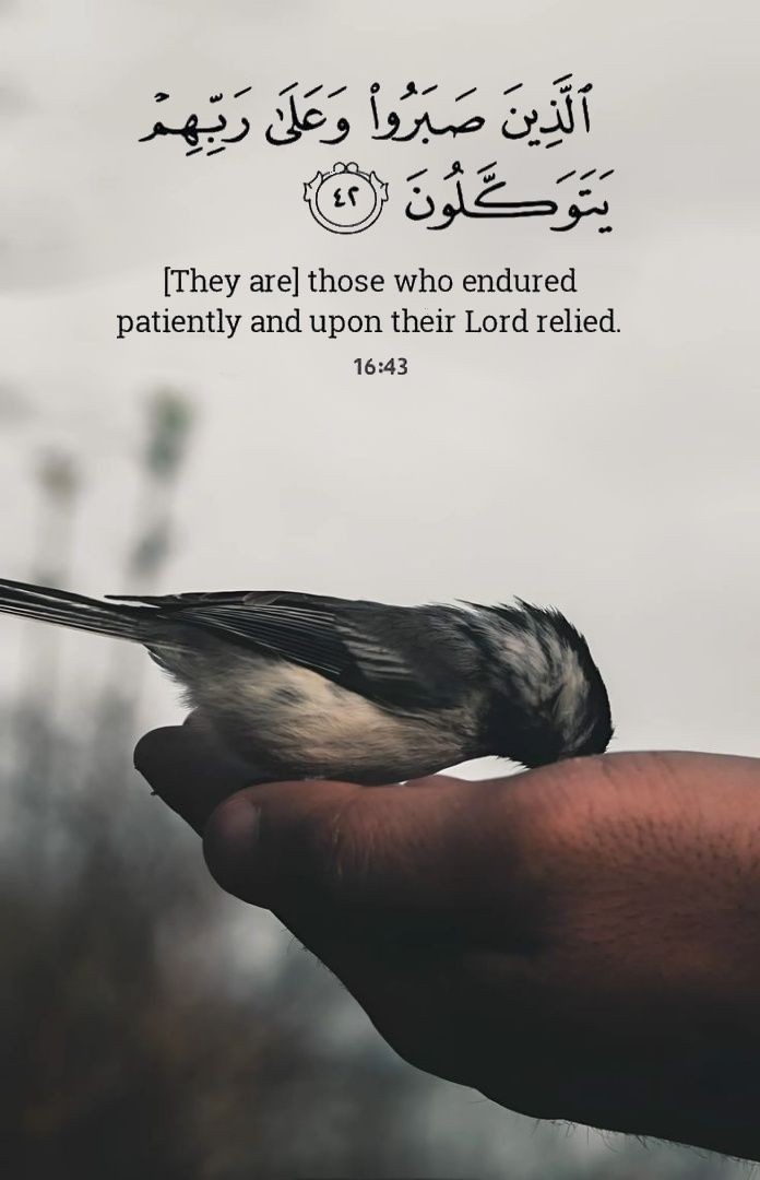 reposts, it will help you🤍🕊️