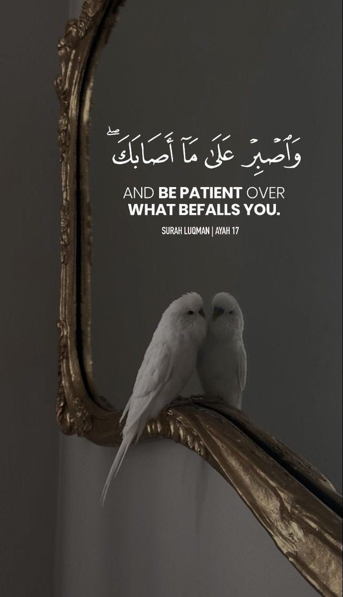 Al_Quran_011's tweet photo. reposts, it will help you🤍🕊️ https://t.co/4Bk9JGJD6i