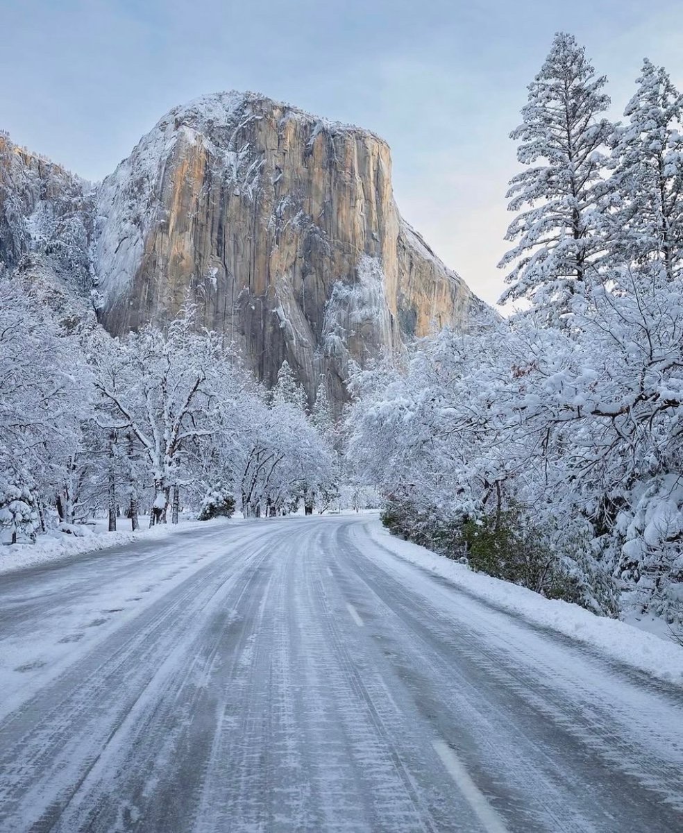 earthcurated's tweet image. Winter in Yosemite ❄️