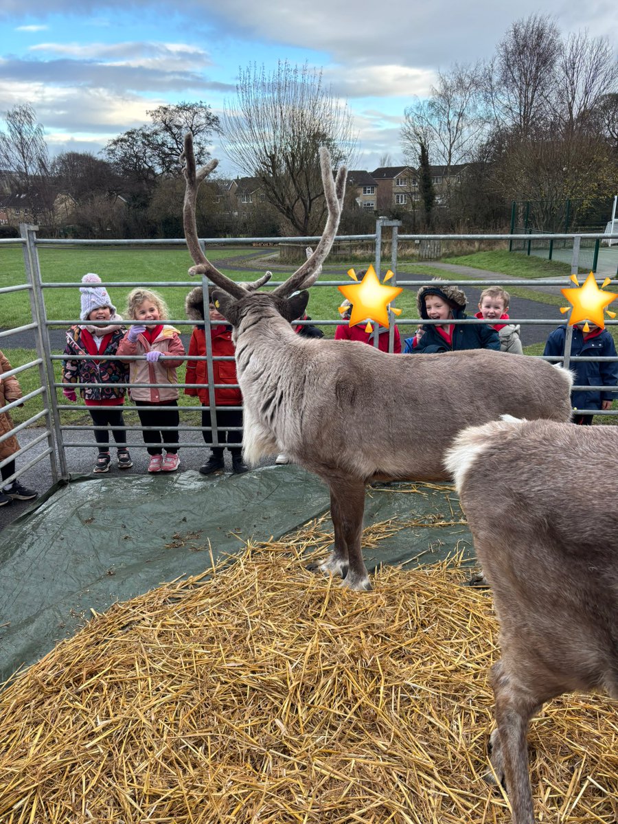 receptionbwp's tweet photo. 🦌🌲✨It’s beginning to look a lot like Christmas. What a wonderful surprise, we loved meeting the reindeer. ✨🌲🦌 #Christmasmagic #smallbutmighty #countdownhasbegun https://t.co/XI8jkXOiHy