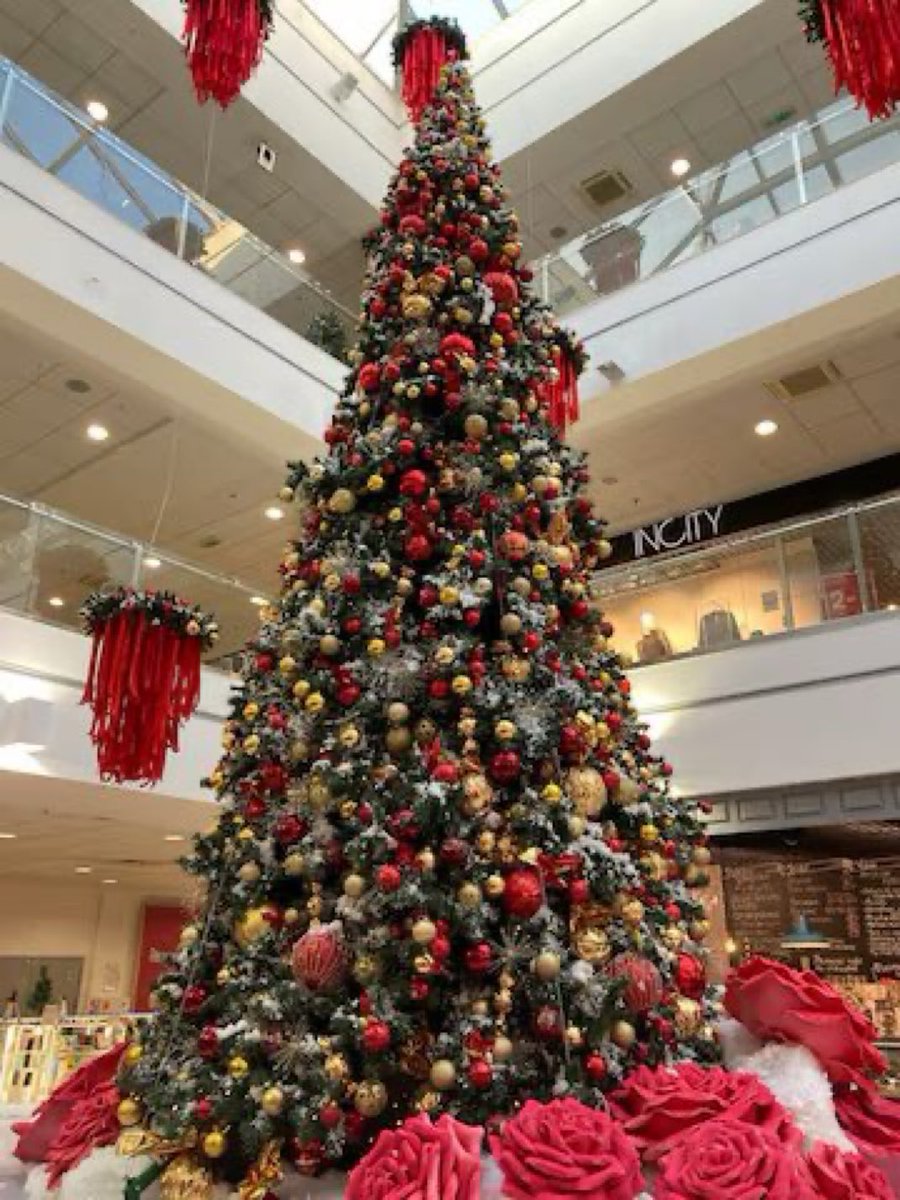 Who agrees that we should not be apologetic about putting up Christmas trees 🎄 &amp; saying Merry Christmas!

This is our country. Immigrants coming here knew in advance our culture &amp; customs. They should be more tolerant &amp; accepting not expecting us to change !

Your thoughts ?