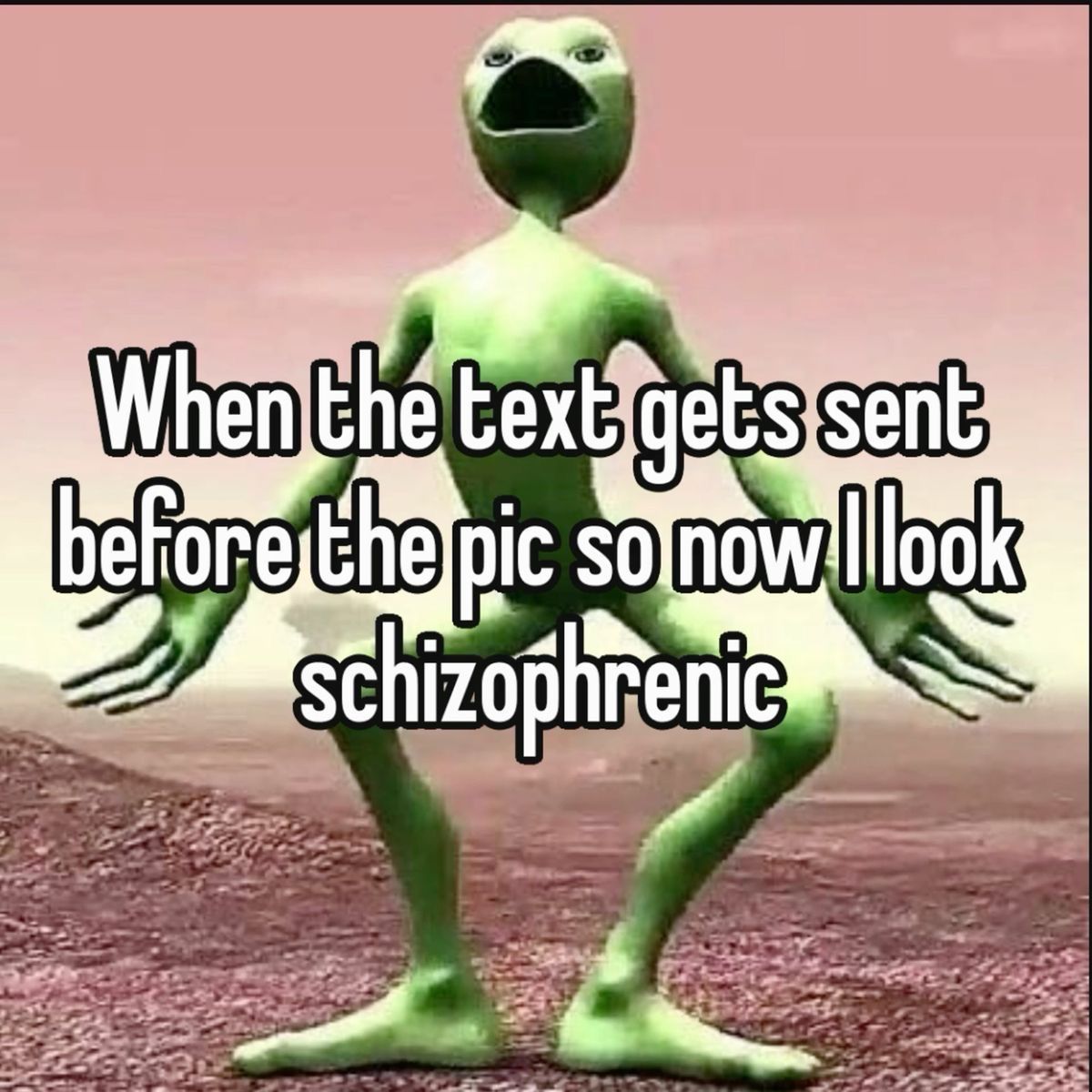 Wild TikToks (@wildtiktokss) on Twitter photo 