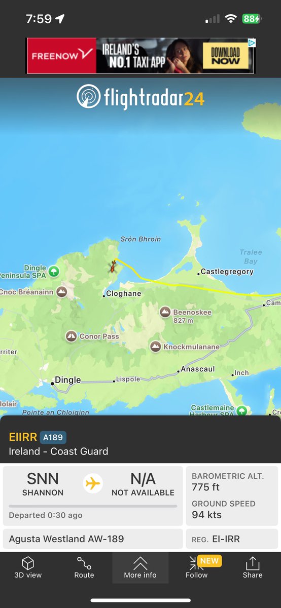 Aoife Dowd tweet media