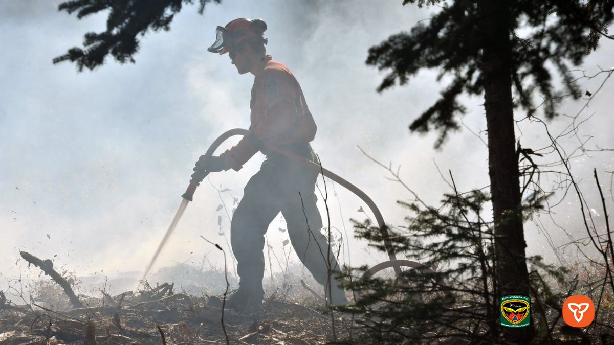 Ontario Forest Fires tweet media