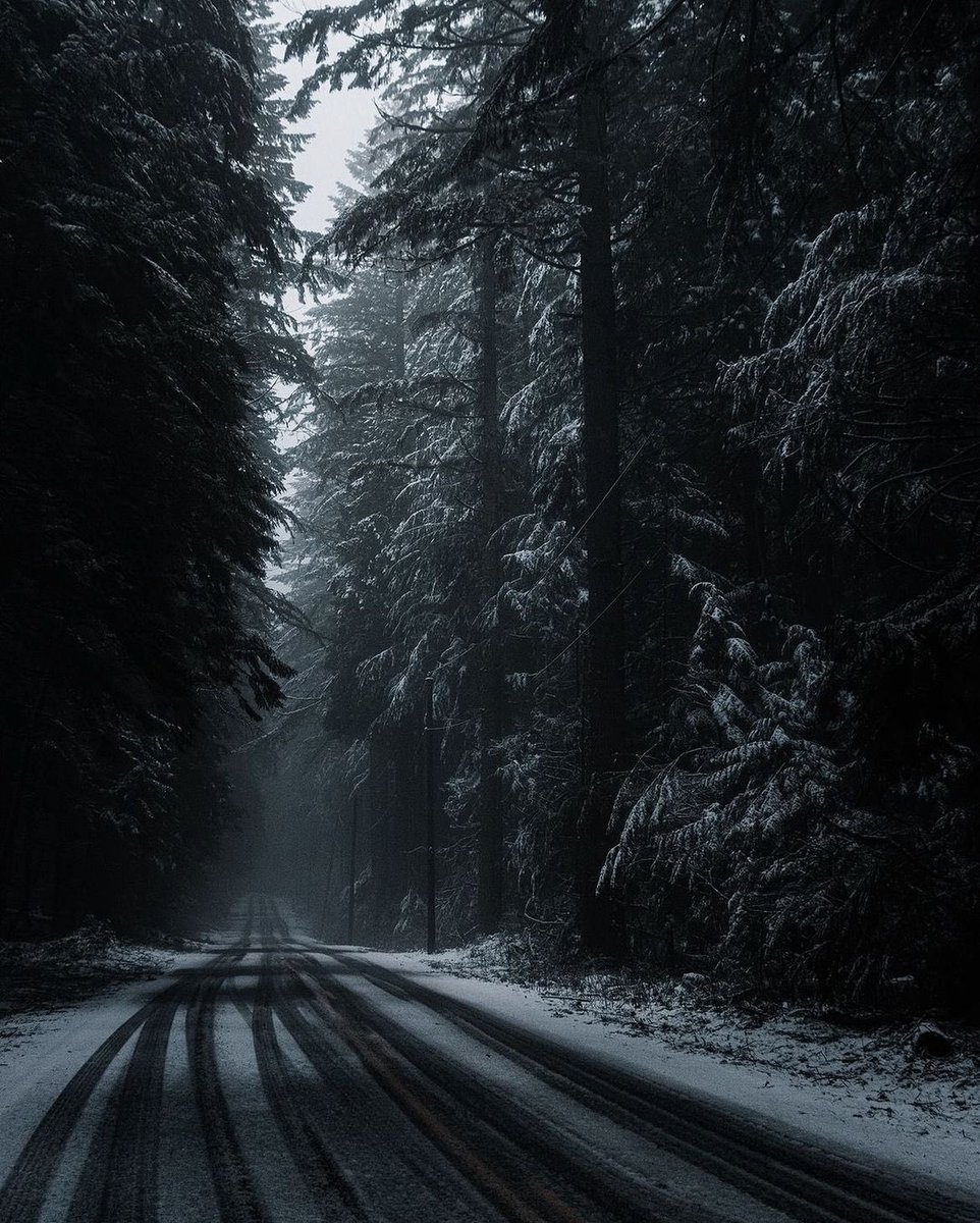 earthcurated's tweet photo. — winter solace ❄️ https://t.co/TzoPvaiHTR