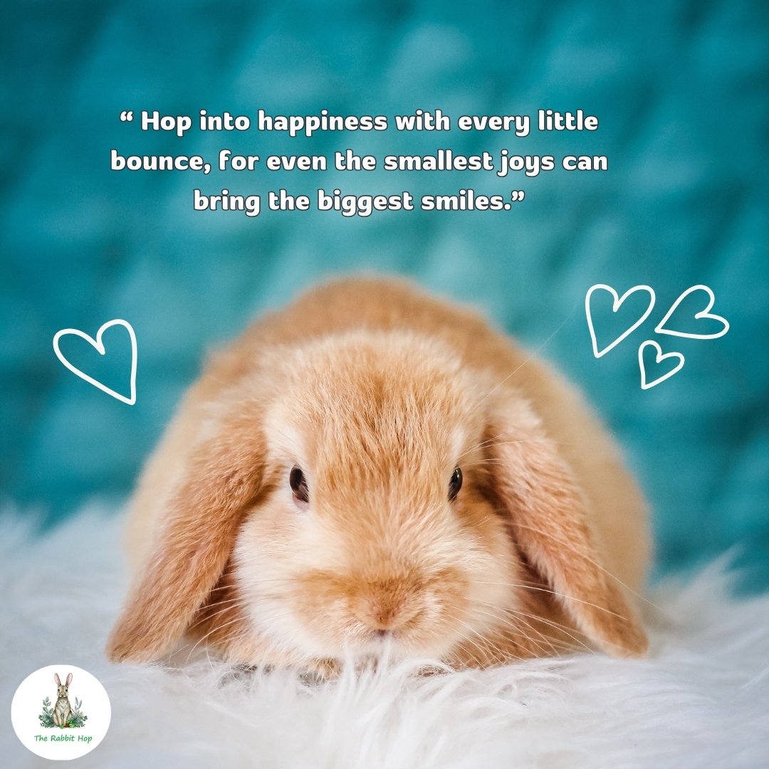 Hop1Rabbit's tweet photo. Hop into happiness with every little bounce, for even the smallest joys can bring the biggest smiles🐰💫😊

Visit us: https://t.co/AuNyqSxWmU

#SmallJoys #Happiness #BunnyLove #FloridaLife #PositiveVibes #JoyInTheLittleThings #NatureSmiles https://t.co/HDpyXpPJBm