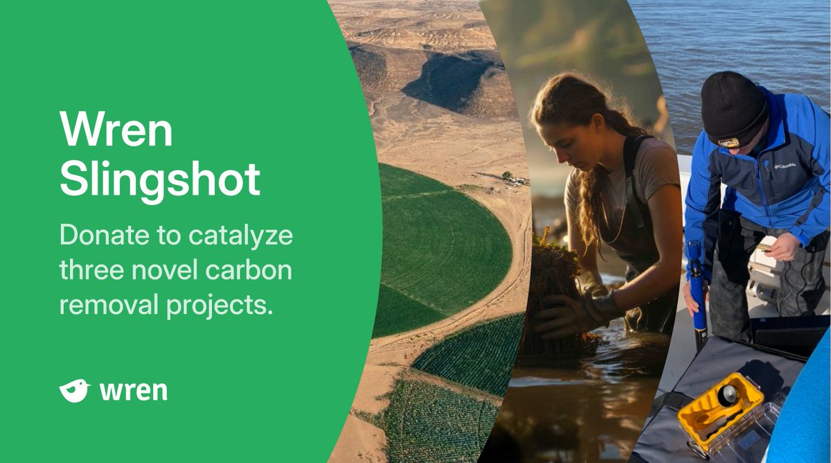 In a changing climate, we want to make sure your donations make a difference.

wren.co/giving-tuesday

We're looking to help develop new, cost-effective ways to remove carbon from the atmosphere. That's why this #GivingTuesday, we're rallying support for HyveGeo, Lillianah, and