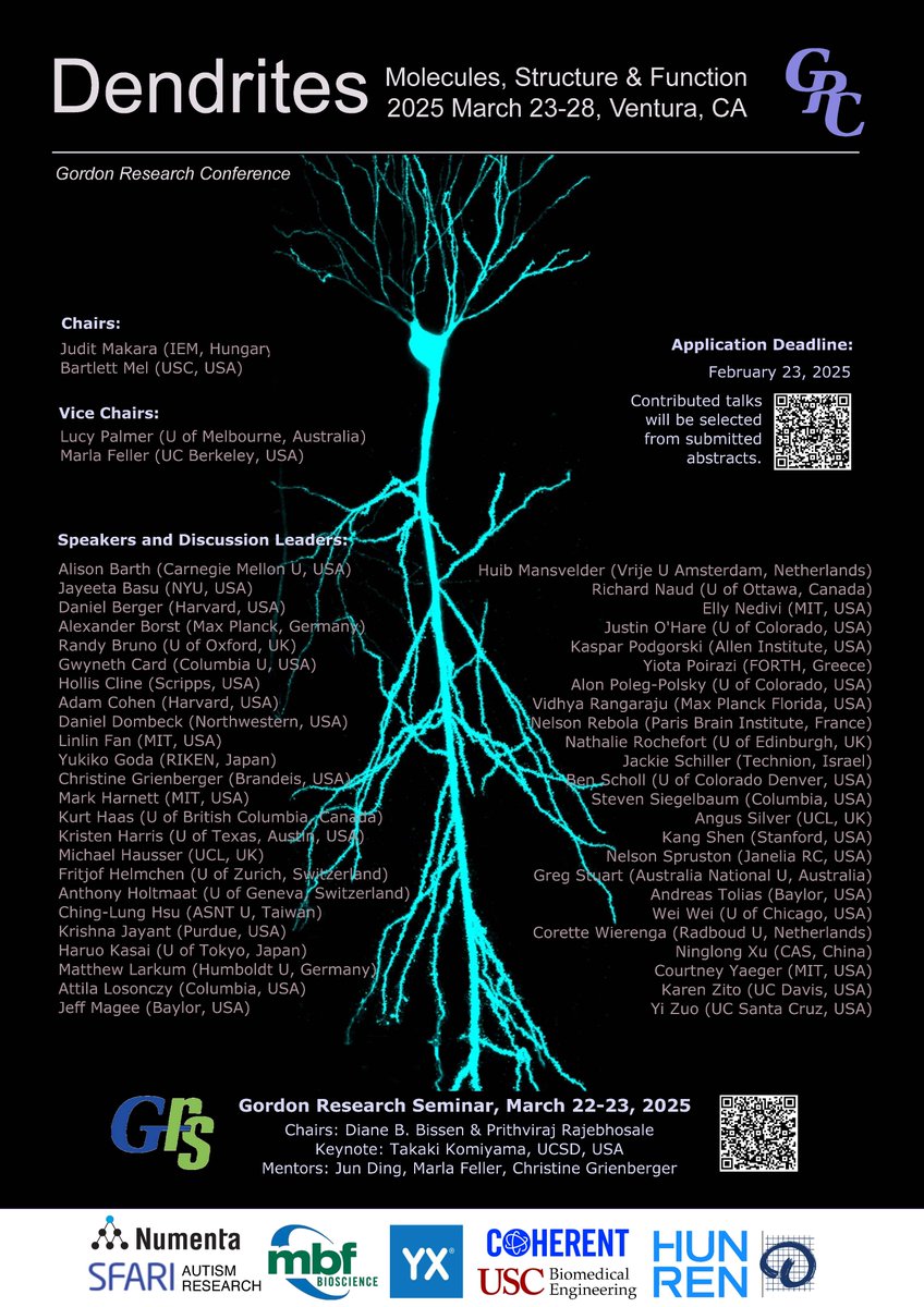 The 2025 Gordon Research Conference on Dendrites...