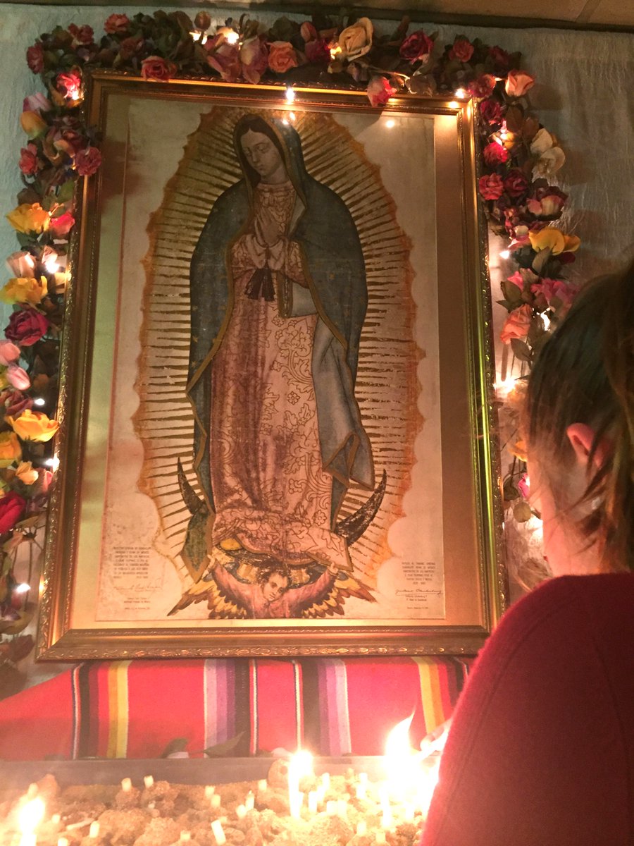 We rejoice in Mary because she always bring us to her Son....If she is worthy to be chosen the Mother of God, I think she is worthy to be chosen by us as our mother. #CatherineDoherty #OurLadyofGuadalupe