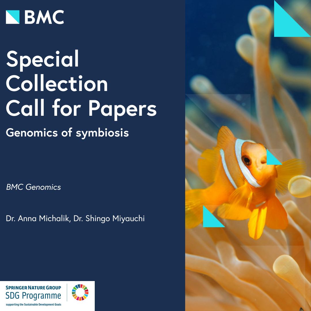 Anna Michalik tweet media