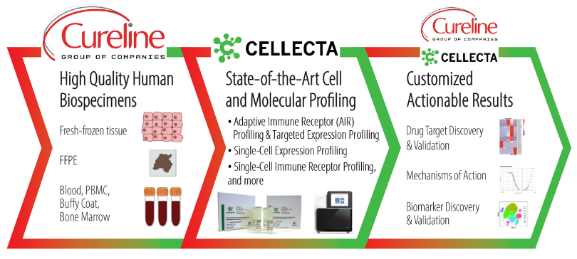Scientist.com (@scientist_com) on Twitter photo Introducing Tissue 2 Target, a one-stop service wherein you can procure high-quality, well-characterized human biospecimens and obtain advanced genomic analysis of the samples seamlessly and effectively. <a href="/cureline_inc/">Cureline, Inc</a> <a href="/cellecta/">Cellecta, Inc.</a>
Learn more, here: app.scientist.com/blog/2024/12/0… Introducing Tissue 2 Target, a one-stop service wherein you can procure high-quality, well-characterized human biospecimens and obtain advanced genomic analysis of the samples seamlessly and effectively. <a href="/cureline_inc/">Cureline, Inc</a> <a href="/cellecta/">Cellecta, Inc.</a>
Learn more, here: app.scientist.com/blog/2024/12/0…