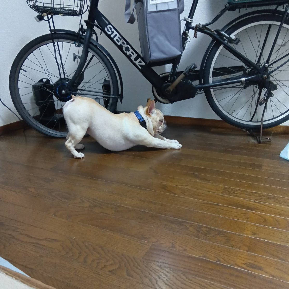 自転車に礼？？？