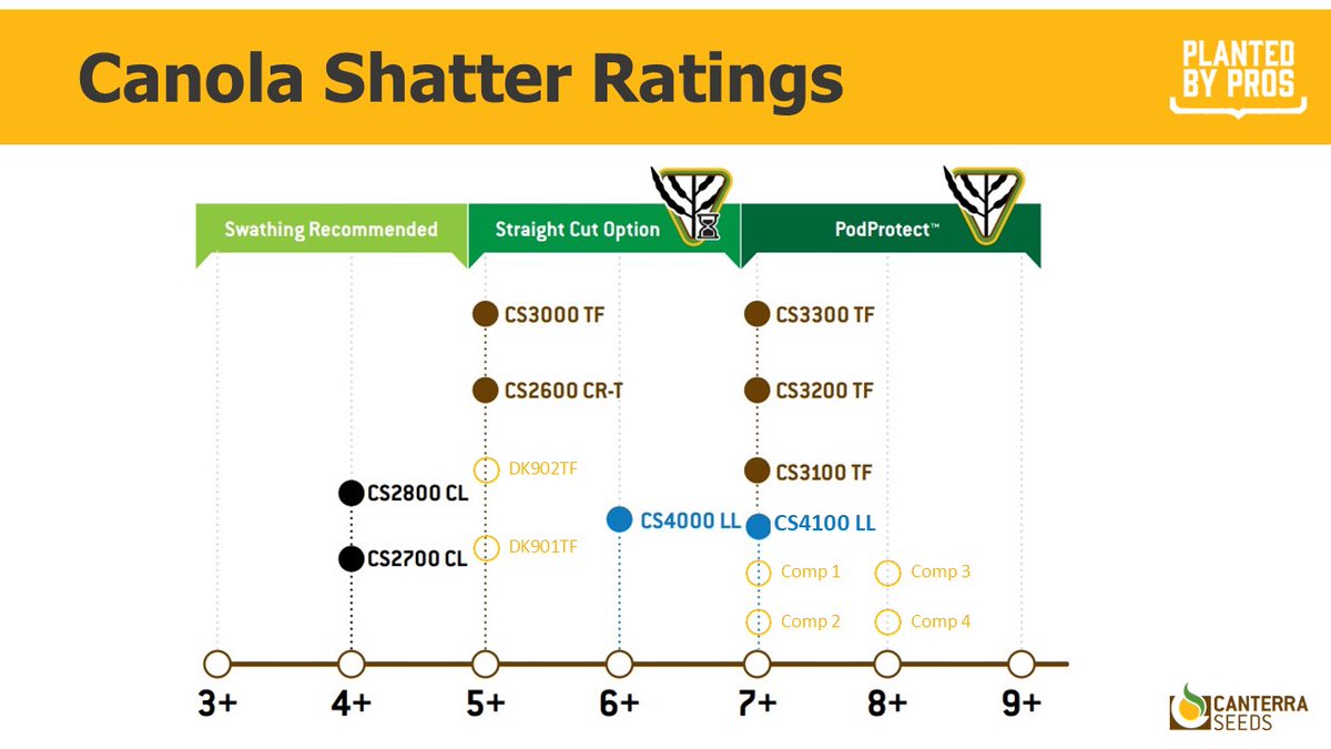 No matter how you manage your #canola harvest, we have a canola hybrid that fits your operation!  Check out these seed shatter ratings for #CANTERRASEEDS hybrids.