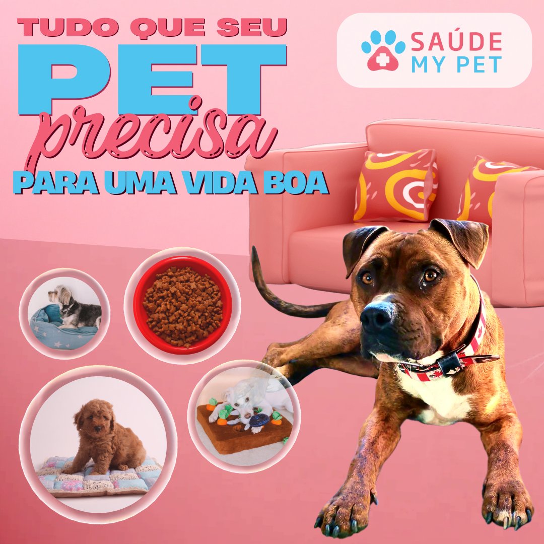saudemypet's tweet photo. Cuidar do seu pet nunca foi tão fácil! 🐾💚

Com os planos da SaúdeMyPet, seu pet tem proteção completa e atendimento de qualidade. 🐶🐱 Clique e saiba mais!

#SaúdePet #PlanoDeSaúdePet #PetsSaudáveis #SaúdeMyPet https://t.co/QPD9UvfquS