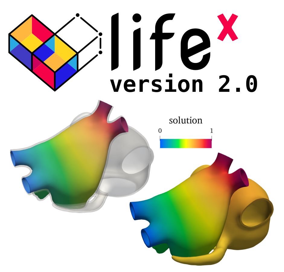 We are glad to announce a new release of #lifex
 
The new release comes with support for non-matching multiphysics coupling and mixed-dimensional problems, streamlined checkpointing, restart, and many optimizations.
 
Preprint arxiv.org/abs/2411.19624

lifex.gitlab.io