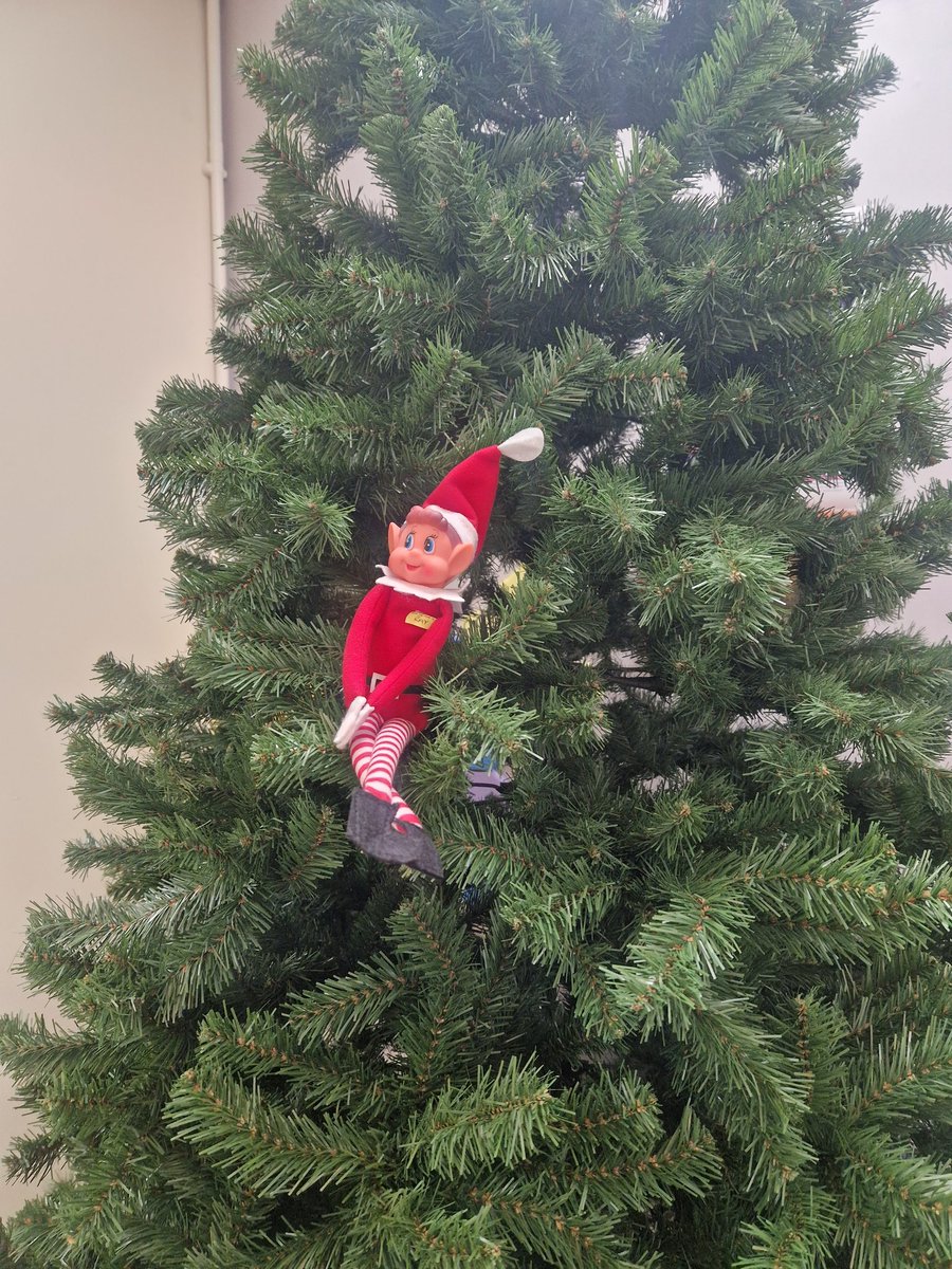 It's that time of year again &amp; we're so pleased that Ray decided to join the Imaging team again this year....a little late, but he brought us this huge tree to decorate. He's promised to help us tomorrow.