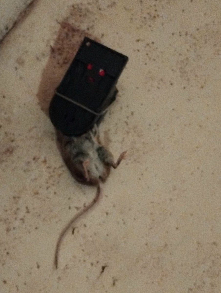 Nr 15, kanske blir en bra vinter.