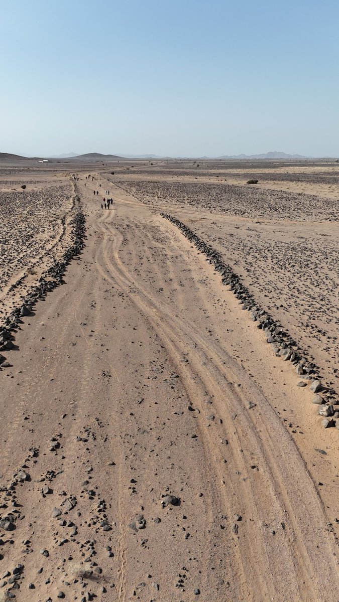 Hikingtaibah هايكنج طيبة tweet media