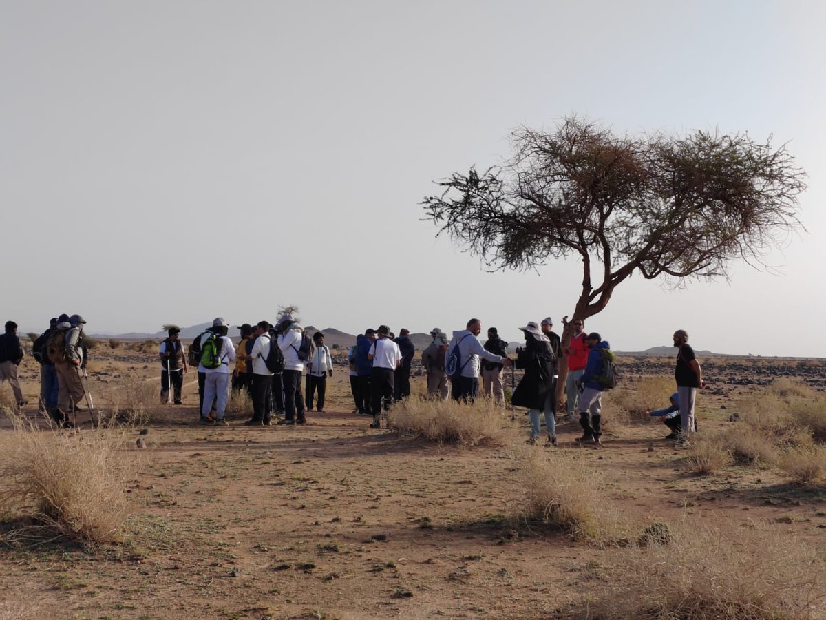 Hikingtaibah هايكنج طيبة tweet media