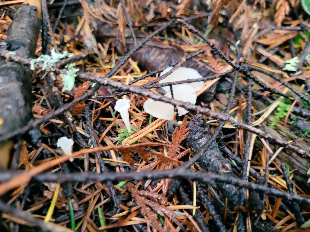 Marieta Marin Bruzos tweet media