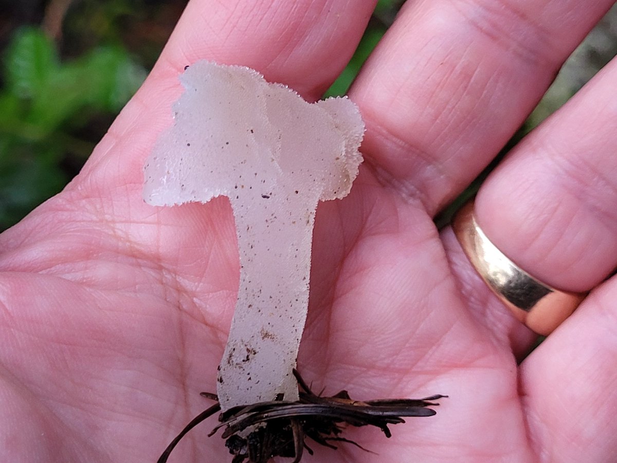 Marieta Marin Bruzos tweet media