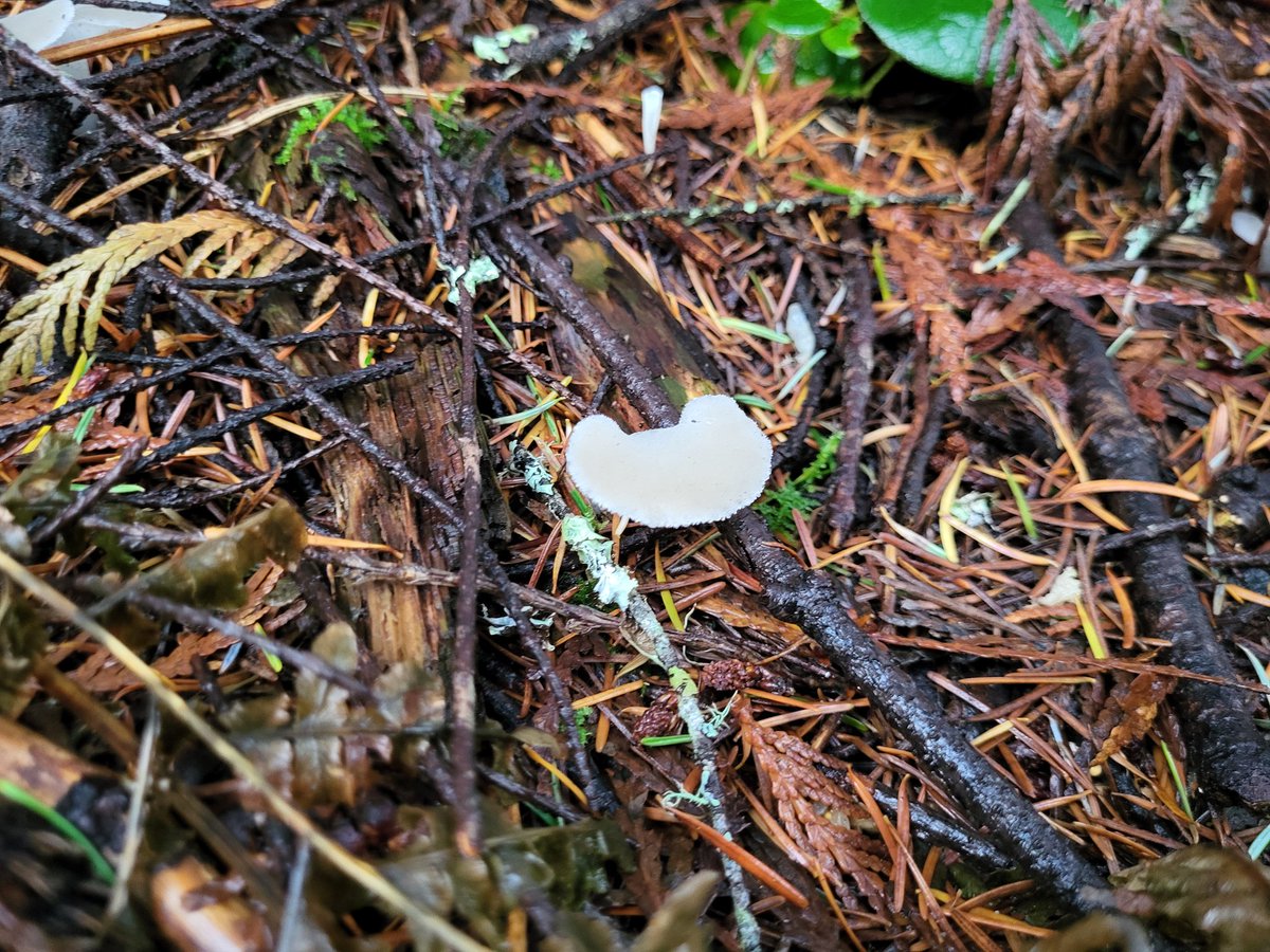 Marieta Marin Bruzos tweet media