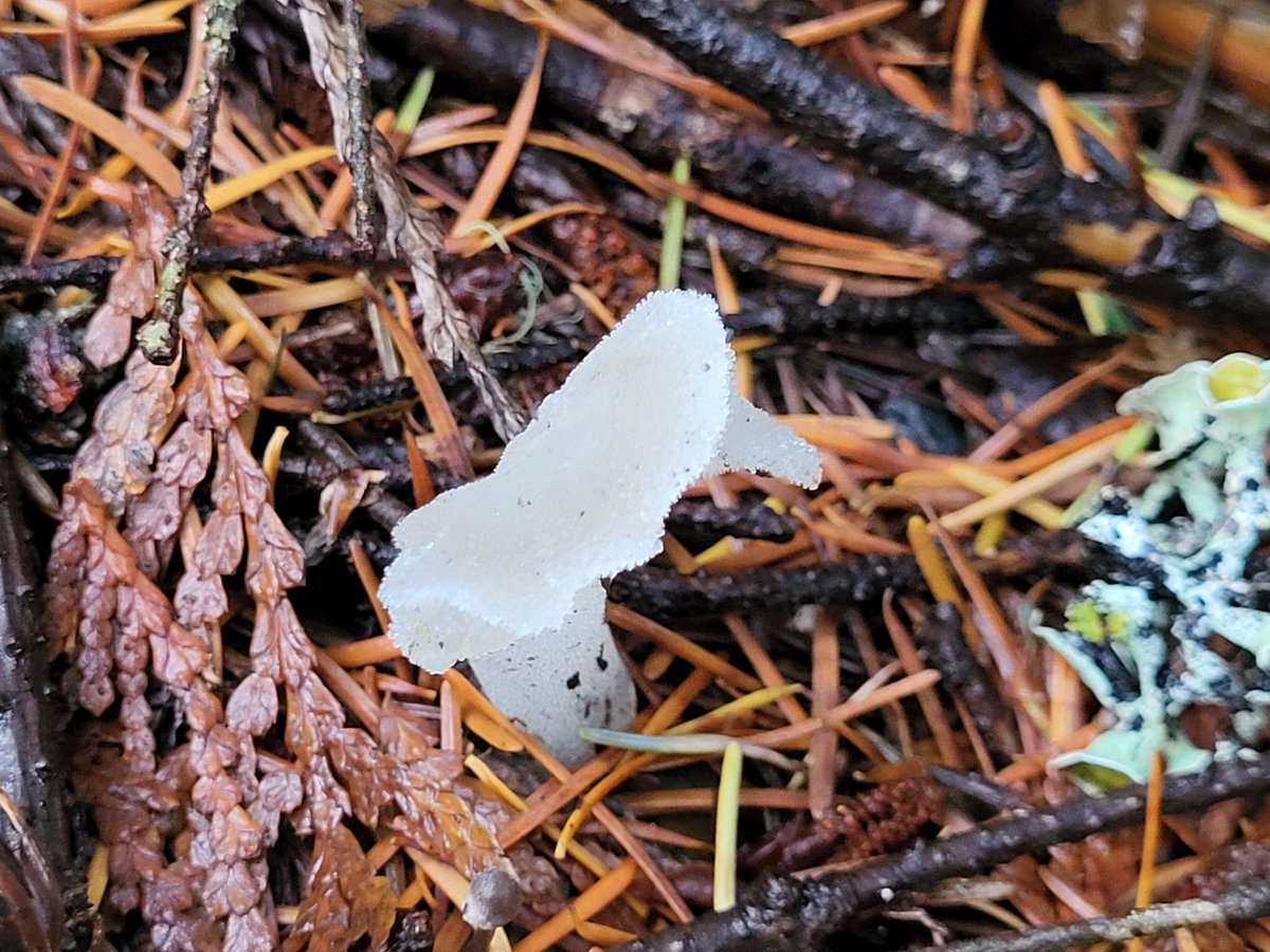 Marieta Marin Bruzos tweet media