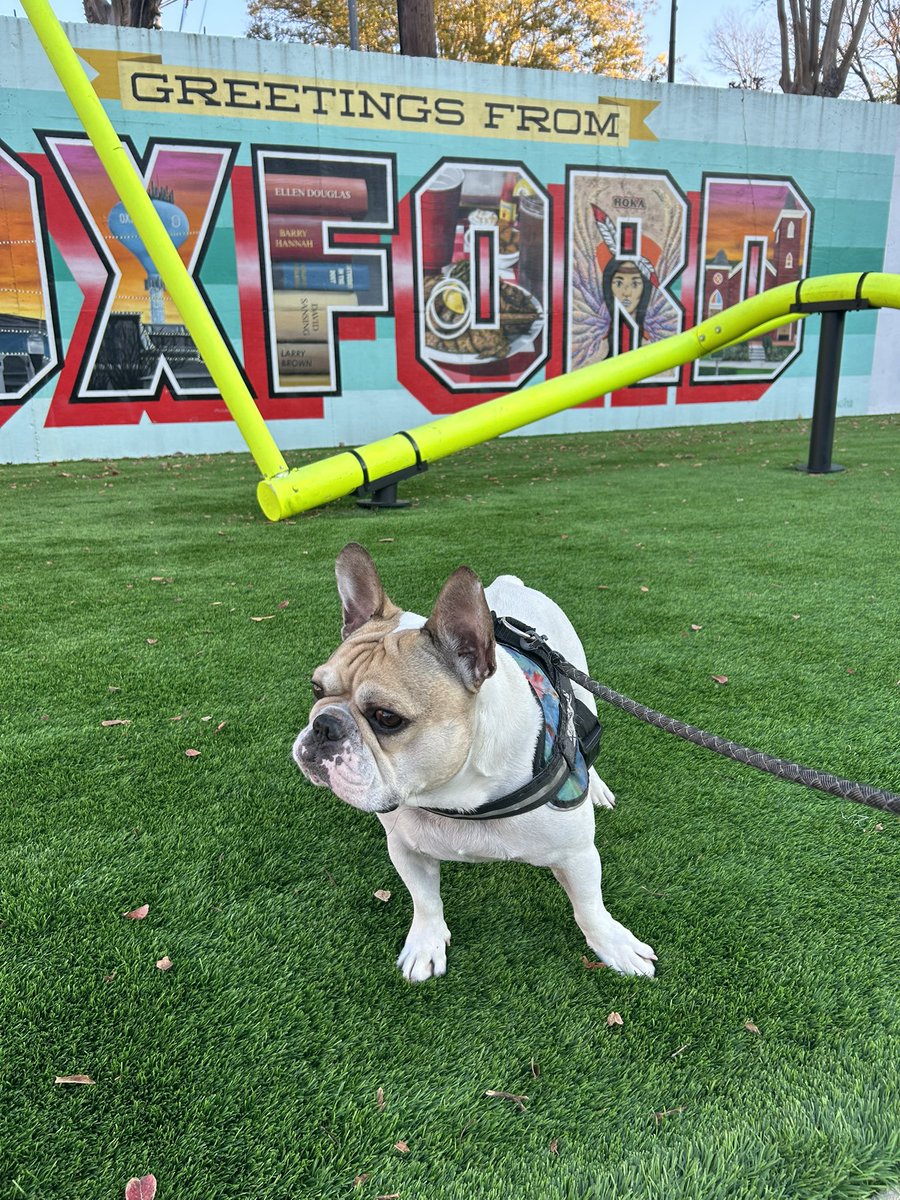 MarkBeyers's tweet photo. @Lane_Kiffin https://t.co/qt3dog8bwB