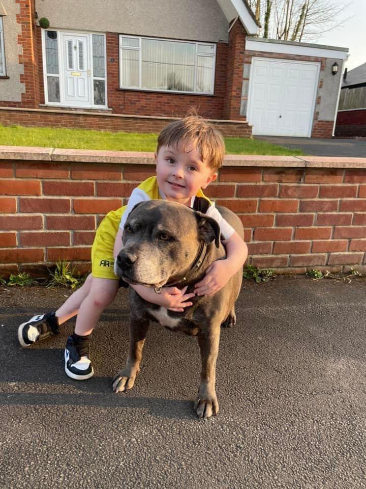 cam_meredith's tweet photo. My best friend blue went to doggy Heavan this afternoon. I will miss you forever my boy sleep tight 🙏🏻💙 https://t.co/B0r7RUyS4I