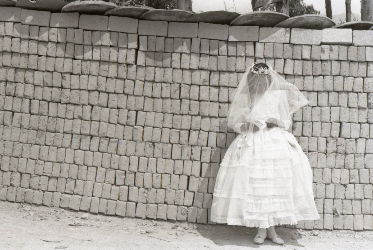 Desde la protesta hasta la poesía, el cine de Marta Rodríguez y Jorge Silva es un grito colectivo hecho para el pueblo.

🎥: CHIRCALES (1972)
#AhoraEnMUBI