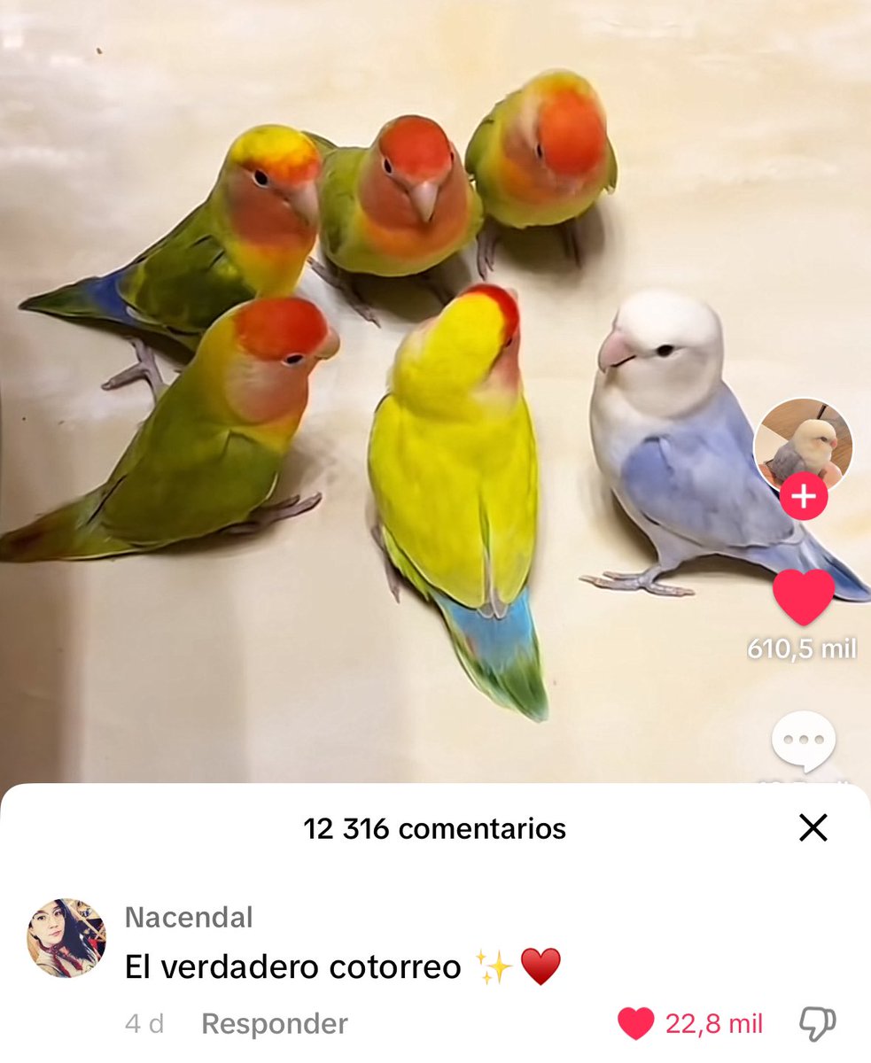 alan aldana (@alanaldana) on Twitter photo 