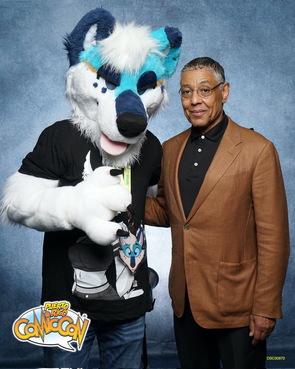 no context furry (@furrynocontext) on Twitter photo 